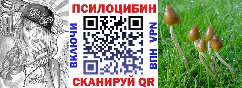 Купить закладки  Костомукша  Галлюциногенные грибы Psilocybine cubensis 